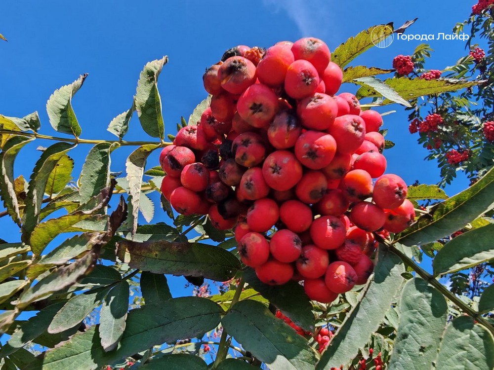 Приметы на 17 ноября: почему в Еремин день нельзя выходить из дома и что категорически запрещено делать | Православные верующие 17 ноября чтят память святого Ермия