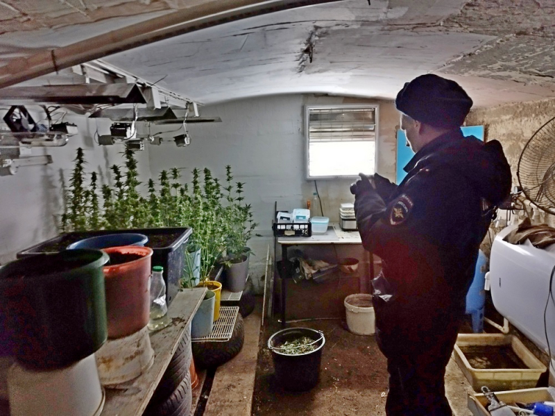 В доме у жителя Нижнего Тагила обнаружили целую наркоплантацию