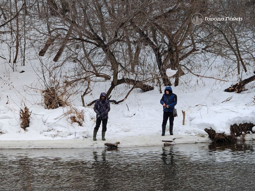 Топ-9 самых рыбных рек и озер Свердловской области: где ловить щуку, леща и хариуса после запрета | Самые рыбные места Свердловской области: топ-9 рек и озер
