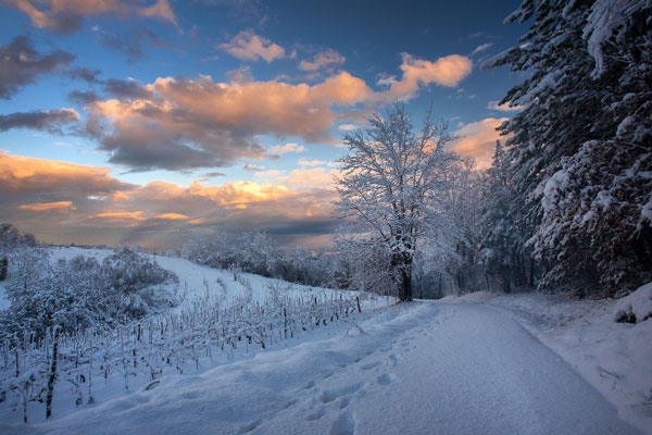 Жителей Свердловской области предупредили о резком похолодании