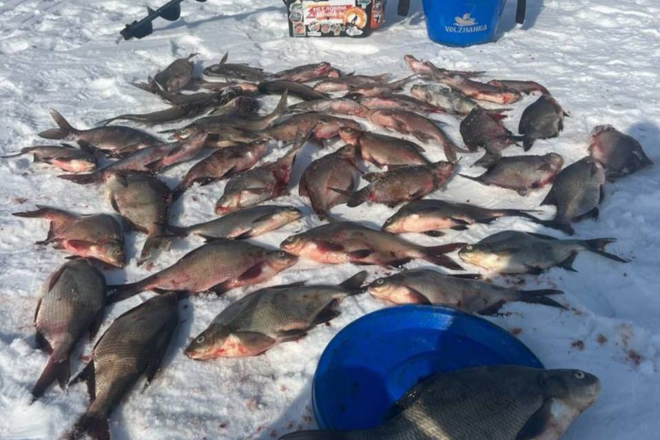 Рыбак поделился своим уловом под Нижним Тагилом: «За час четыре сработки, три щуки добыл» | На Урале рыбак поймал более 20 лещей, некоторые весили более килограмма Рыбак поделился своим уловом под Нижним Тагилом: «За час четыре сработки, три щуки добыл» | На Урале рыбак поймал более 20 лещей, некоторые весили более килограмма