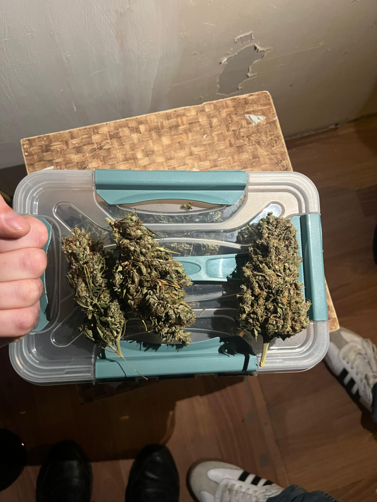 Сбывали марихуану: троих тагильчан задержали за оборот наркотиков | В Нижнем Тагиле сотрудники МВД задержали местных жителей, сбывающих наркотики 