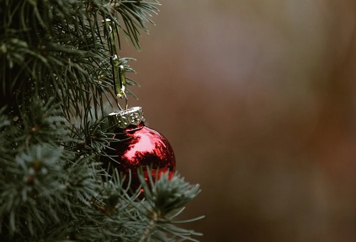 Мэр Нижнего Тагила исполнил мечту юного футболиста