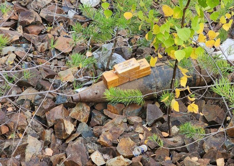 В Свердловской области в лесу возле Серовского тракта обнаружен боевой артиллерийский снаряд 152 мм | В лесу на трассе под Нижним Тагилом нашли боевой снаряд