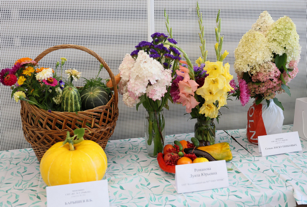 В Нижнем Тагиле наградили победителей конкурса садоводов | На Урале прошел конкурс садоводов