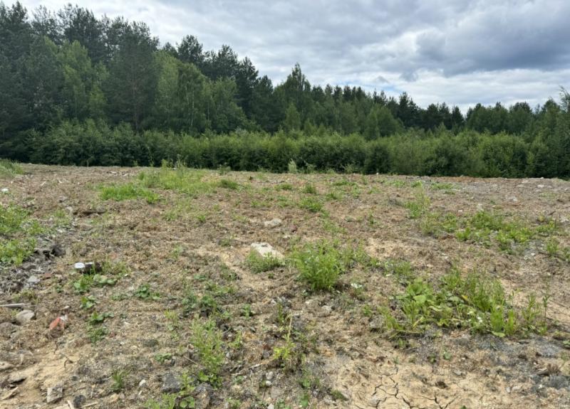 В Нижнем Тагиле убрали свалку площадью 15 тысяч квадратных метров | В Нижнем Тагиле утилизировали несанкционированную свалку