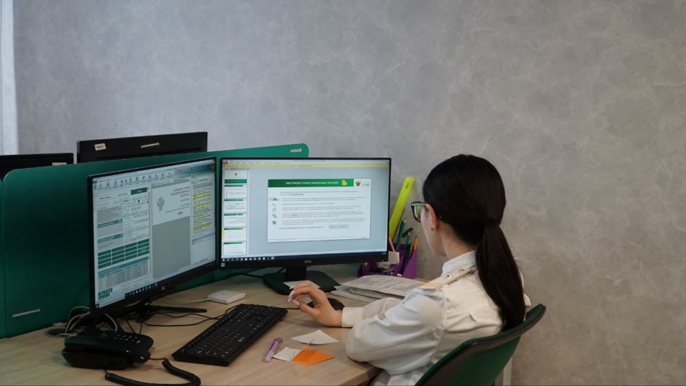 Почти в 2 раза больше деклараций на ввоз радиоактивных материалов было оформлено уральскими таможенниками | На Урале в 2024 году было оформлено 342 декларации на ввоз и вывоз радиоактивных материалов