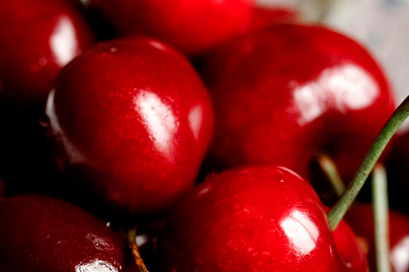 В Свердловскую область завезли первую в 2025 году партию черешни и абрикосов | На Урал завезли первую партии черешни и абрикосов из Узбекистана В Свердловскую область завезли первую в 2025 году партию черешни и абрикосов | На Урал завезли первую партии черешни и абрикосов из Узбекистана