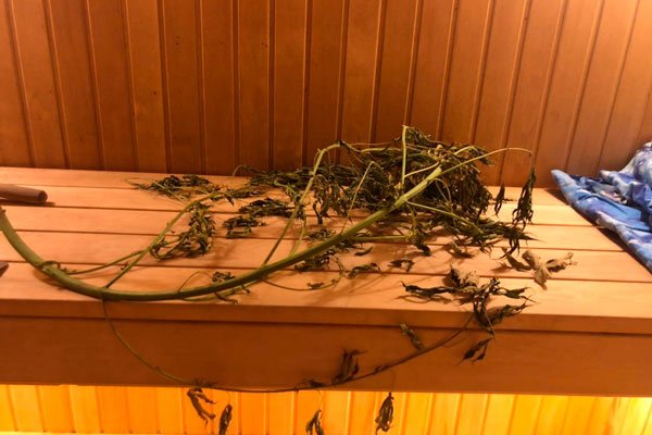 В Нижнем Тагиле сотрудники полиции уличили руководителя частного предприятия в хранении наркотических средств