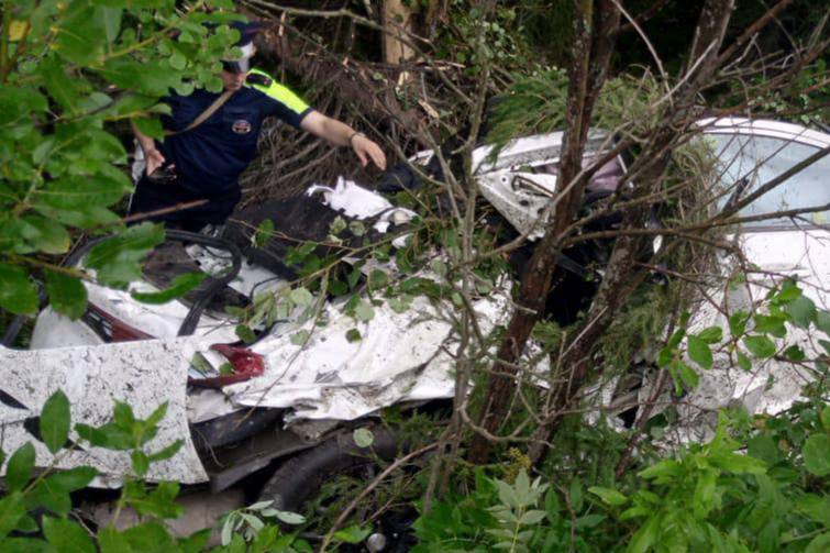 На «Серовском тракте» произошло смертельное ДТП: погиб мужчина, 276 раз привлекавшийся к ответственности  | На Урале водитель автомобиля на мокрой дороге не справился с управлением и врезался в дерево