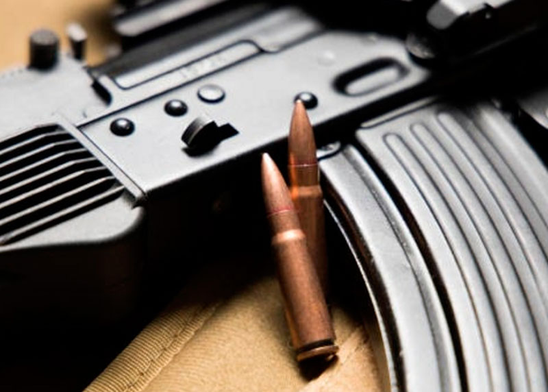 Трагедия в Армении: известный ростовский врач и её муж расстреляны на отдыхе | В Армении убиты ростовский врач и её муж