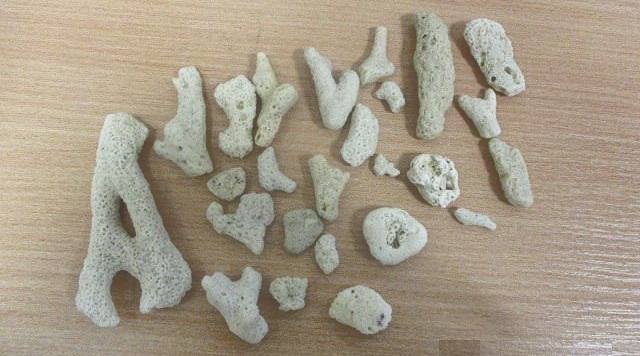 В уральском аэропорту задержали туристку, которая на память привезла кораллы из Дубая | На Урале задержали пассажирку с 25 кораллами