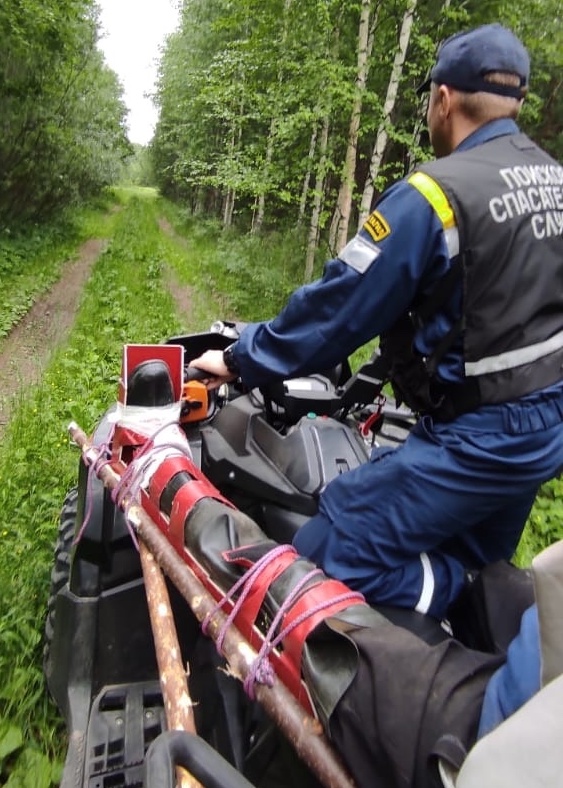 Спасатели из Нижнего Тагила спасли пожилого грибника, заблудившегося в лесу и сломавшего ногу