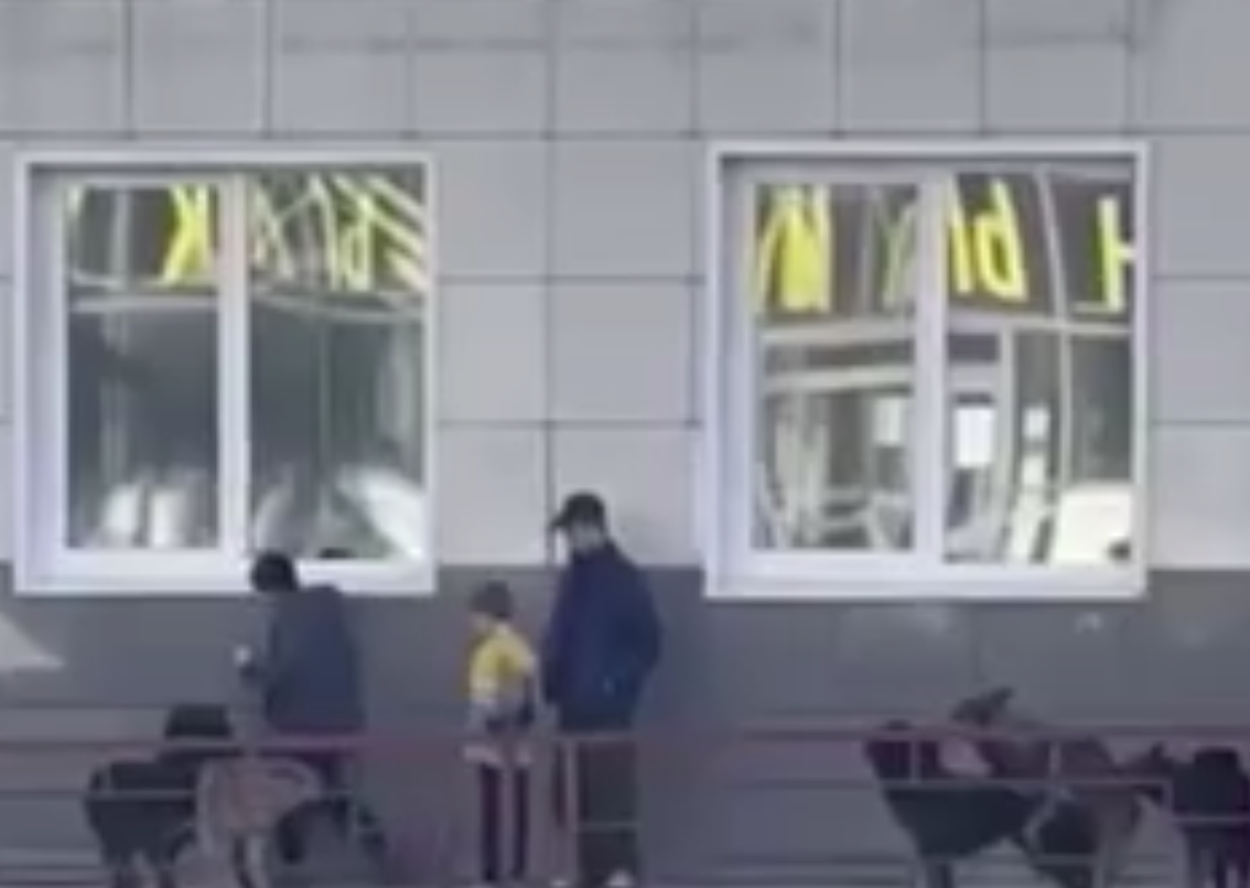 Агрессивные бродячие собаки угрожают жителям Нижнего Тагила