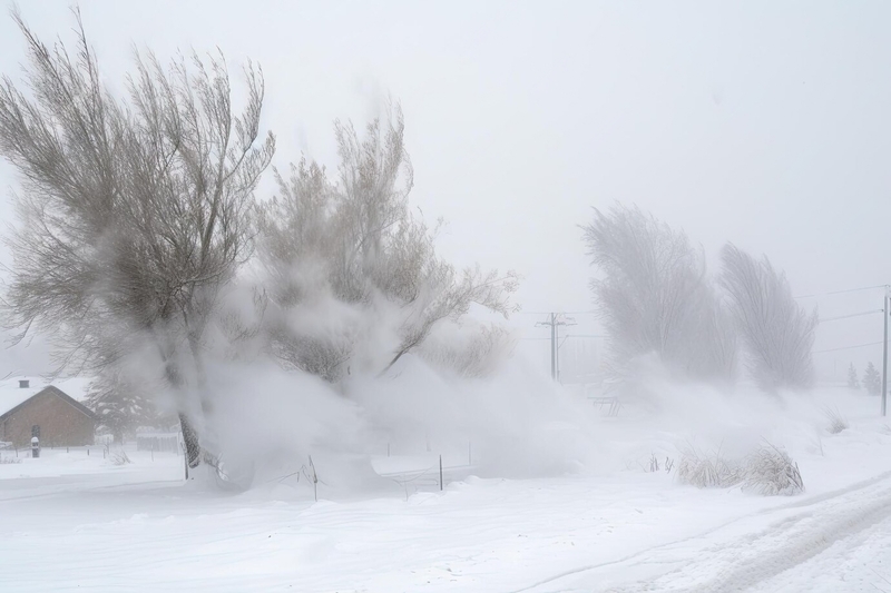 Тагильчан ожидают снегопады и резкое похолодании: заявление синоптиков | В Свердловскую область придут снегопады и резкое похолодание до -23°С