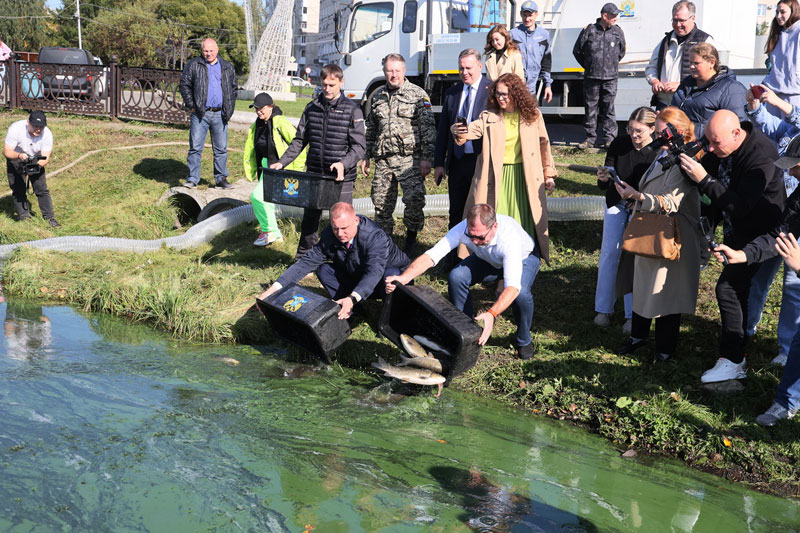 В Нижнем Тагиле прошло зарыбление городского пруда сазаном и белым амуром | В Нижний Тагил выпустили тысячи мальков рыбы: как это повлияет на пруд