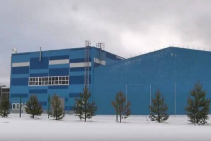 В Нижнем Тагиле высадили полтысячи сосен на территории строящегося мусоросортировочного комплекса | На Урале экологи высадили 500 сосен