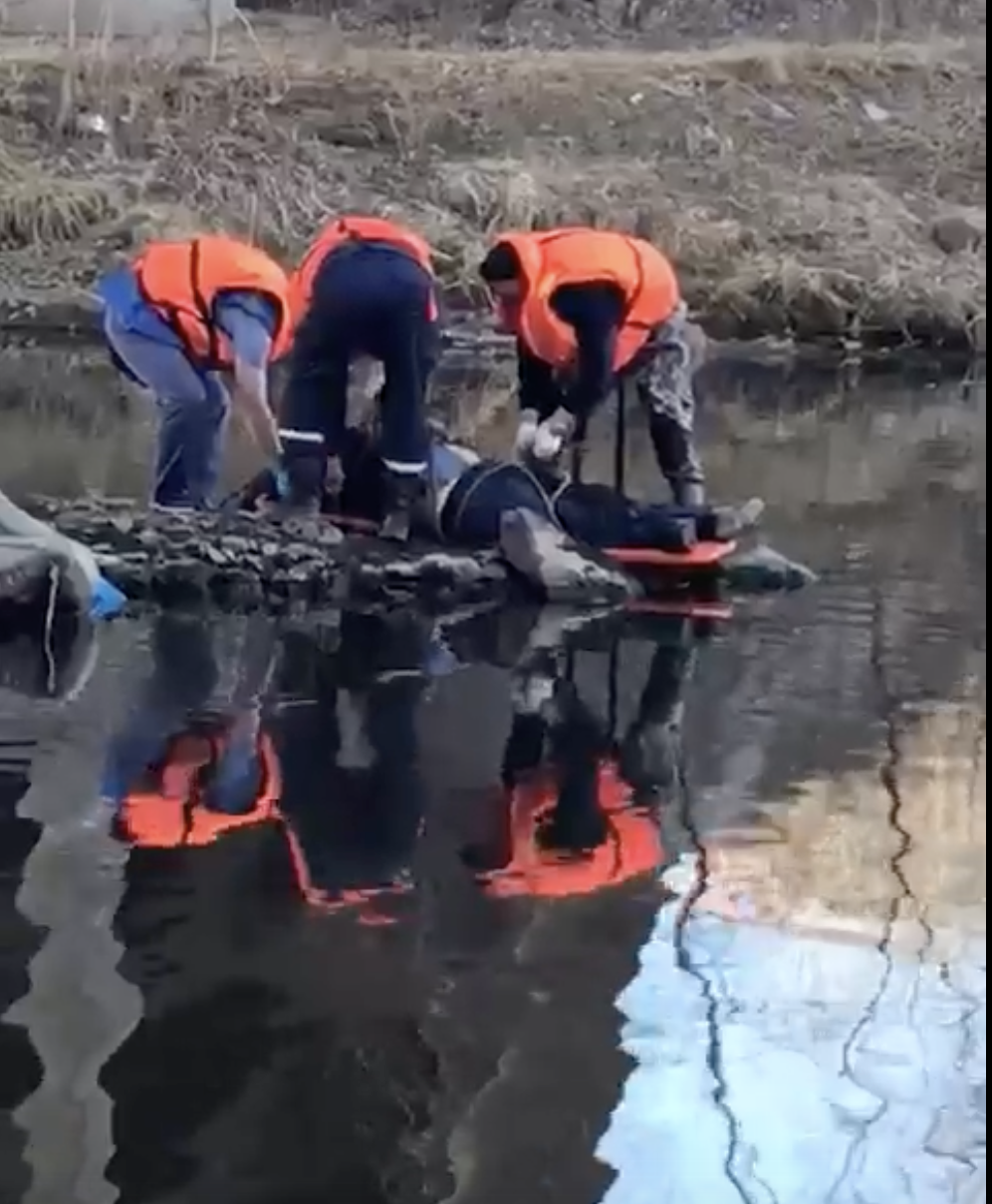 Сотрудники МБУ "Центр защиты населения" спасли пострадавшего упавшего под мостом на реке Тагил. Видео