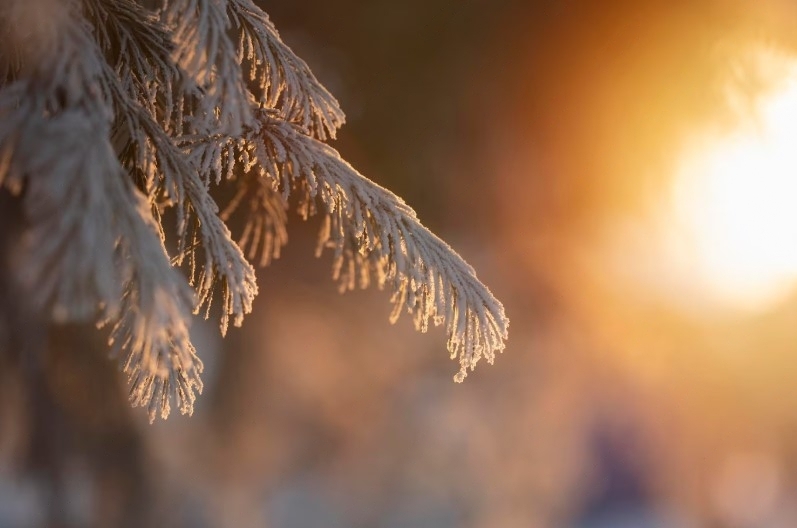 В Нижнем Тагиле ожидается снег и теплая погода | В Свердловской области снова начнется потепление: возможен небольшой снег 