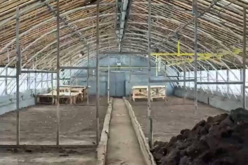 В Нижнем Тагиле продолжают восстанавливать муниципальное тепличное хозяйство | На Урале оборудовали две большие теплицы с новыми системами полива