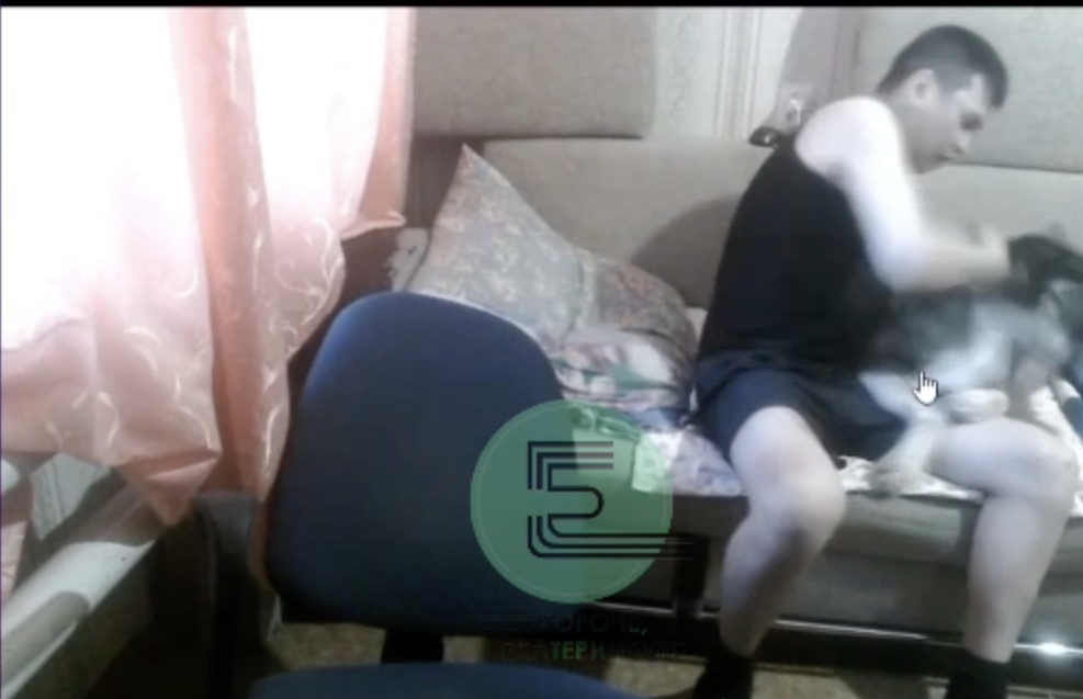 Волонтеры спасли избитую собаку в Нижнем Тагиле, мать треш-стримера атаковала их с топором