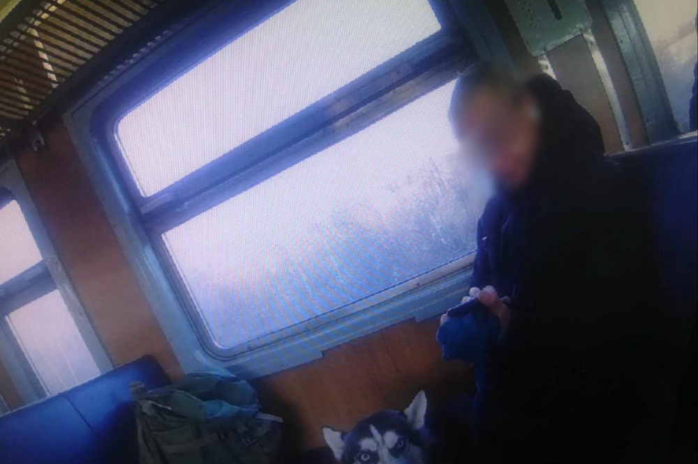 В Нижнем Тагиле полиция задержала подозреваемого в краже рюкзака у пенсионера | На Урале сотрудники транспортной полиции задержали подозреваемого в краже