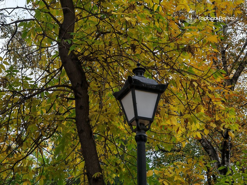 23 октября — особый день: приметы, запреты и церковные традиции | 23 октября — день Евлампия Зимоуказателя