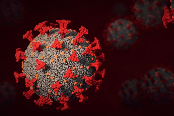 В Нижнем Тагиле за сутки зарегистрировано 35 новых случаев COVID-19 В Нижнем Тагиле за сутки зарегистрировано 35 новых случаев COVID-19