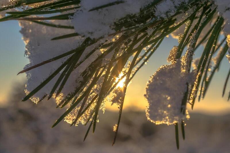 Оттепели в Свердловской области продлятся до понедельника | Синоптик Пулин: на Среднем Урале распространяется тепло