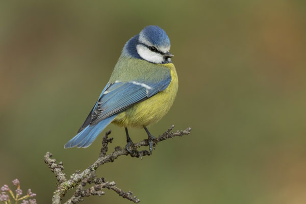Агафонов день 4 сентября: приметы, запреты и традиции | 4 сентября — Агафонов день: что нельзя делать и какие приметы стоит знать