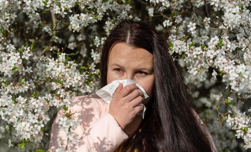 Почему возникает «весеннее обострение»: психолог перечислила основные причины | Психолог рассказала, как весна влияет на эмоциональное состояние человека