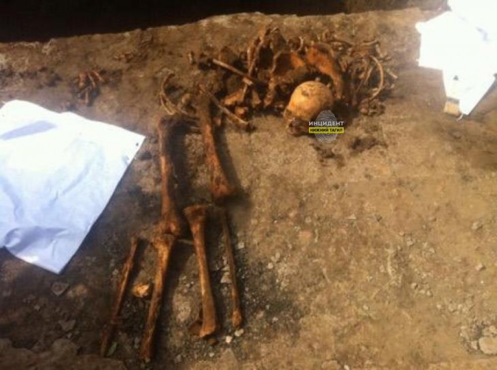 В Нижнем Тагиле на стройплощадке обнаружены скелетированные останки человека