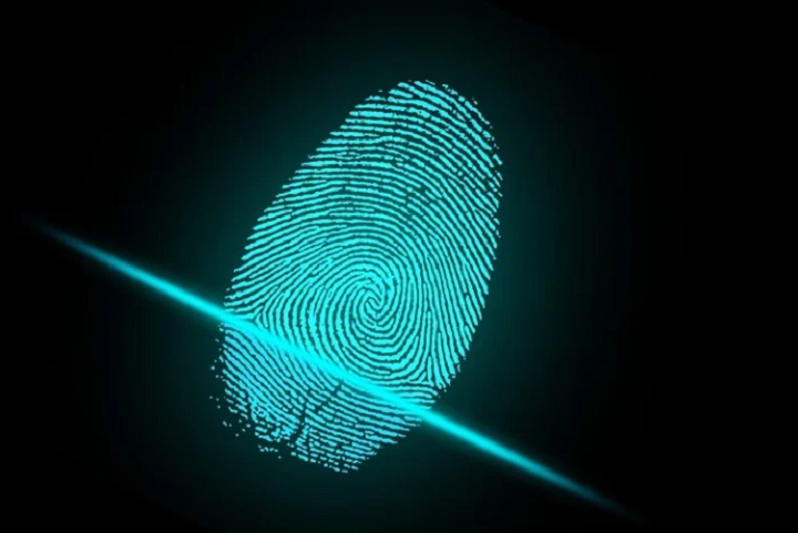 В Нижнем Тагиле третий год ищут Светлану Бабушкину