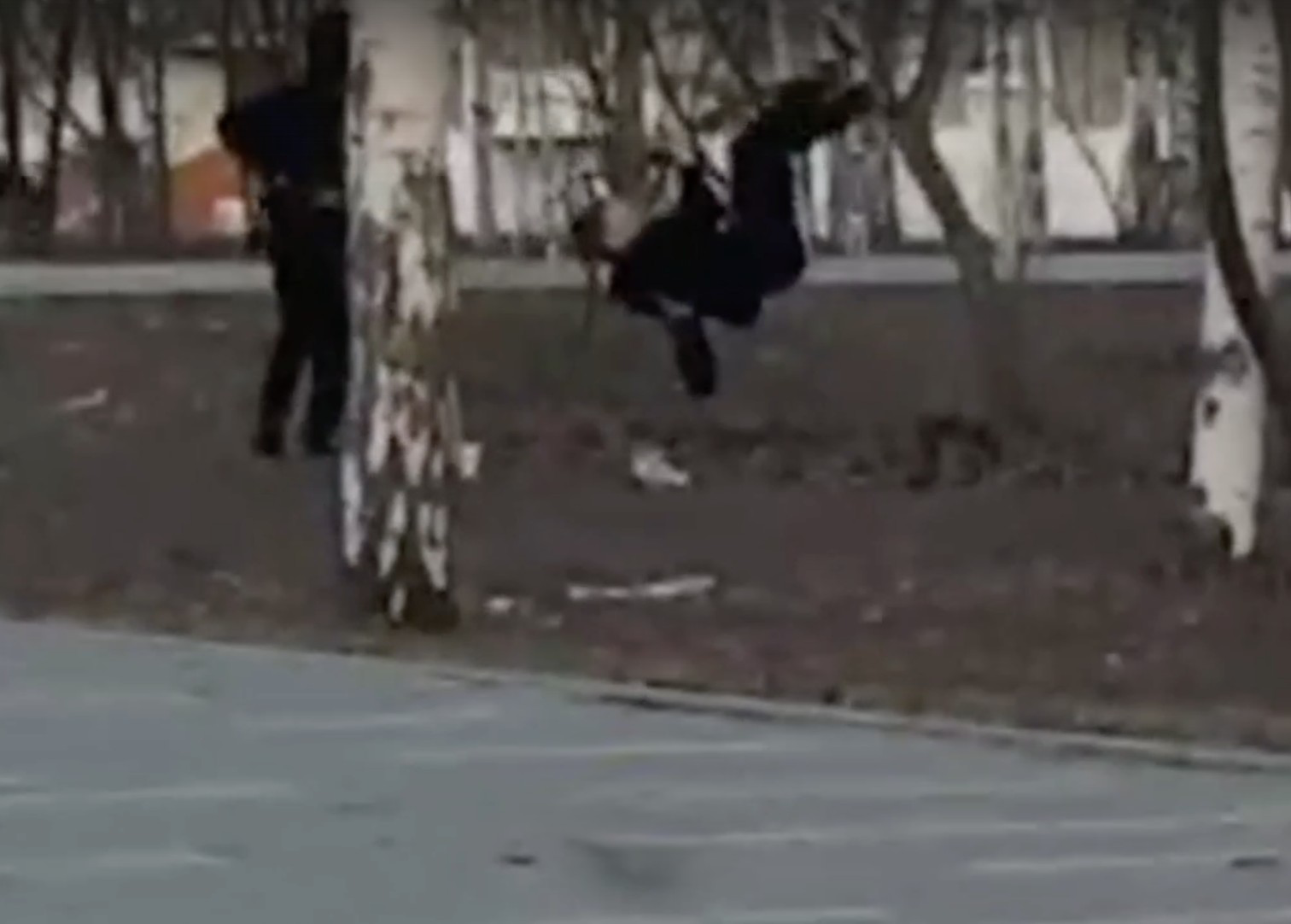 Защитим Парк Победы: Обращение к родителям и обществу в свете инцидента с хулиганством детей