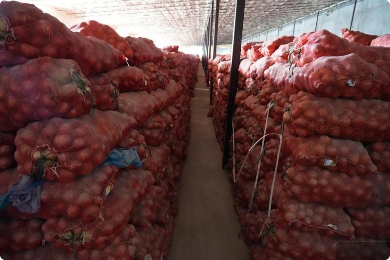 В магазины Свердловской области начнут поступать овощи и фрукты из Киргизии | На Средний Урал начнет поступать плодоовощная продукция из Киргизии