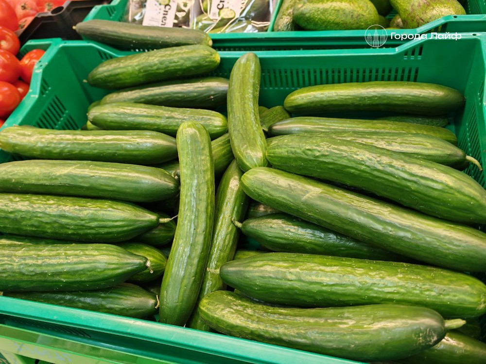 Огурцы дешевеют, гречка дорожает: свежая статистика цен в Свердловской области | В Свердловской области подешевели огурцы, яблоки и колбаса Огурцы дешевеют, гречка дорожает: свежая статистика цен в Свердловской области | В Свердловской области подешевели огурцы, яблоки и колбаса