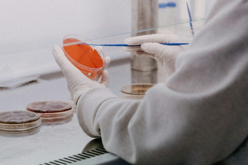 Российская вакцина против рака успешно завершила доклинические испытания | Российская вакцина от рака прошла испытания