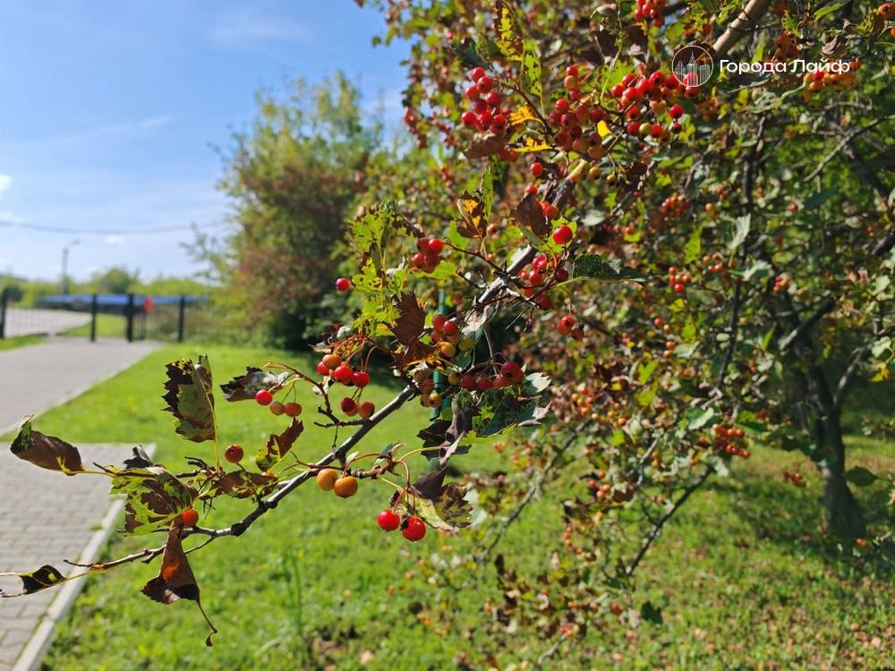 Дата Василисы-Льняницы 3 сентября 2025: народные приметы, запреты и советы | 3 сентября — день Василисы-Льняницы: что нельзя делать и на что обратить внимание Дата Василисы-Льняницы 3 сентября 2025: народные приметы, запреты и советы | 3 сентября — день Василисы-Льняницы: что нельзя делать и на что обратить внимание