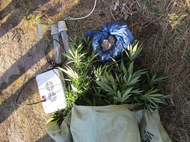 В Нижнем Тагиле патрульные полицейские задержали местного жителя с марихуаной