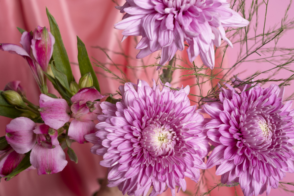 Ошибка родителей на 1 сентября: какие цветы покупать нельзя | Роспотребнадзор дал рекомендации по выбору букетов для 1 сентября