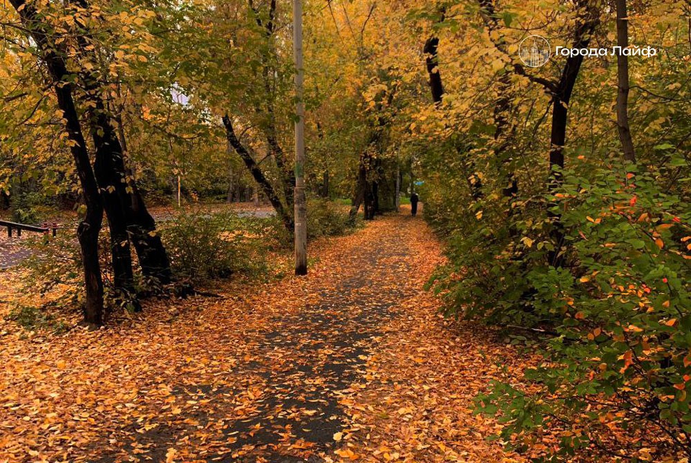 Погода на Урале 2 октября: прогноз от синоптика Алексея Пулина | Синоптик Пулин рассказал о погоде в Свердловской области 2 октября