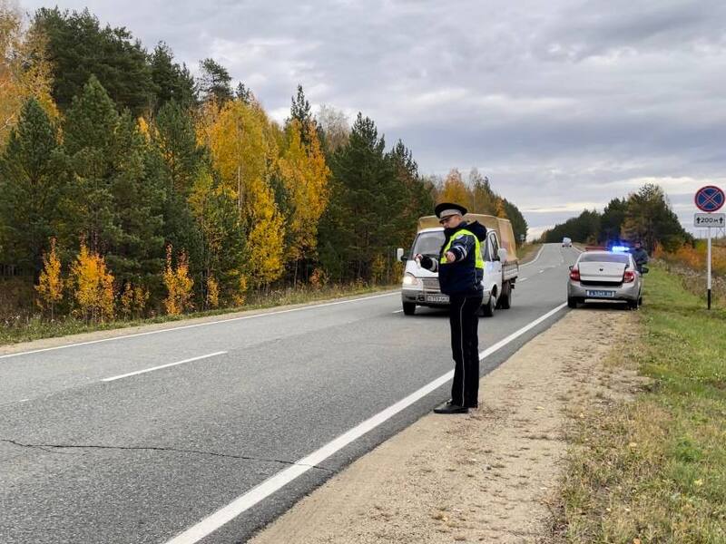 В Нижнетагильском районе неизвестный водитель насмерть сбил пешехода | Водитель сбил пешехода в Нижнетагильском районе и скрылся с места аварии