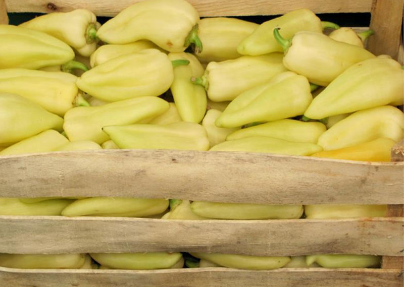 Россельхознадзор проверил свежий перец из Казахстана в Екатеринбурге: карантинных объектов не выявлено | В Екатеринбург завезли 20 тонн перца из Казахстана