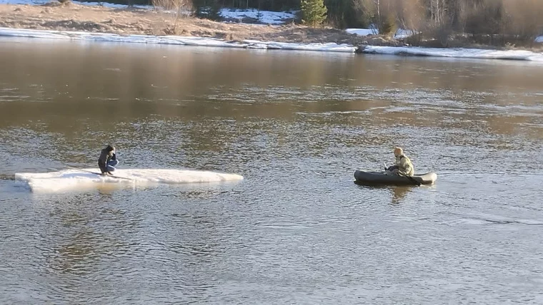 Трое подростков в возрасте 10-11 лет бросили своего друга на льдине посреди реки в Свердловской области