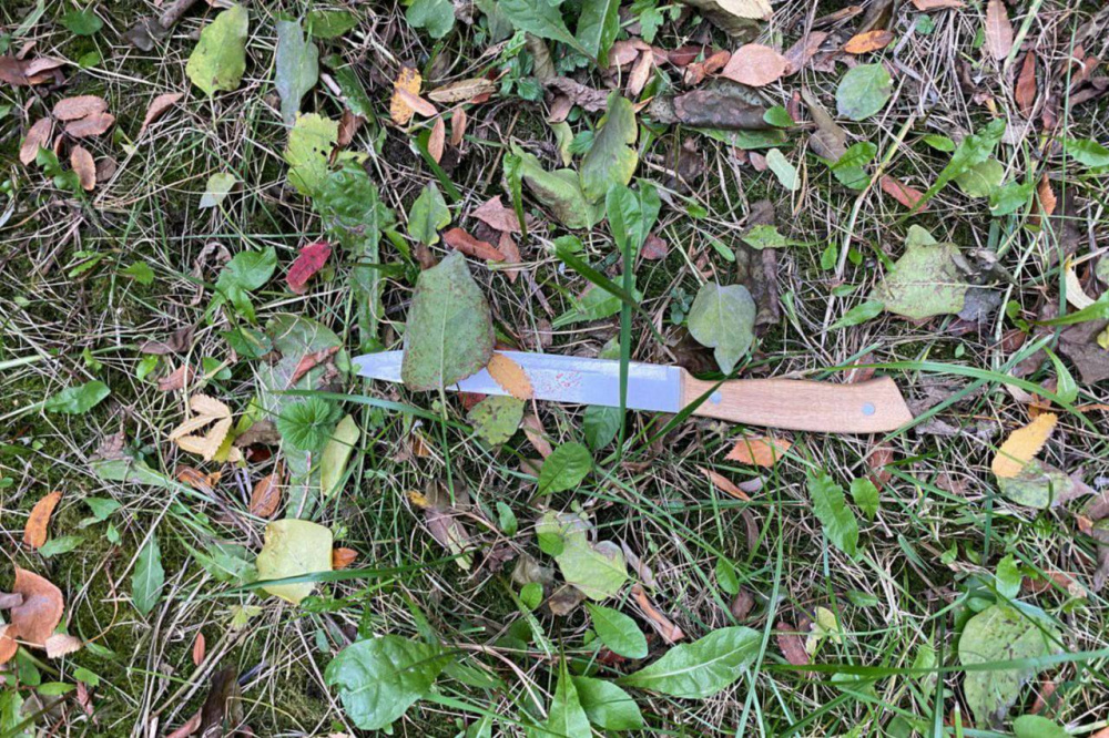 Зарезавший мужчину в тагильском баре вышел на свободу за пять дней до убийства | На Урале мужчина совершил убийство через пять дней после выхода из колонии