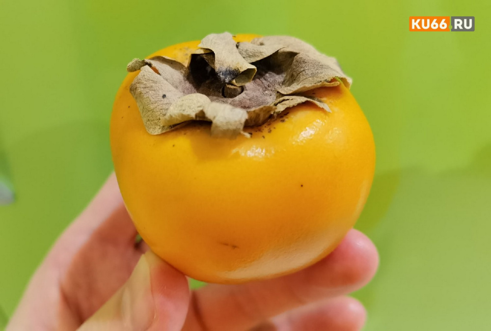 21 тонна хурмы из Азербайджана: как в Екатеринбурге нашли опасного вредителя, но разрешили продавать фрукты | В Екатеринбурге в хурме из Азербайджана нашли карантинного вредителя