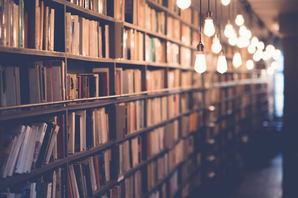 Тагильчан ждет насыщенная программа на празднике «Серой Шейки» в городской библиотеке | На Урале пройдет мероприятие, посвященное творчеству Мамина-Сибиряка