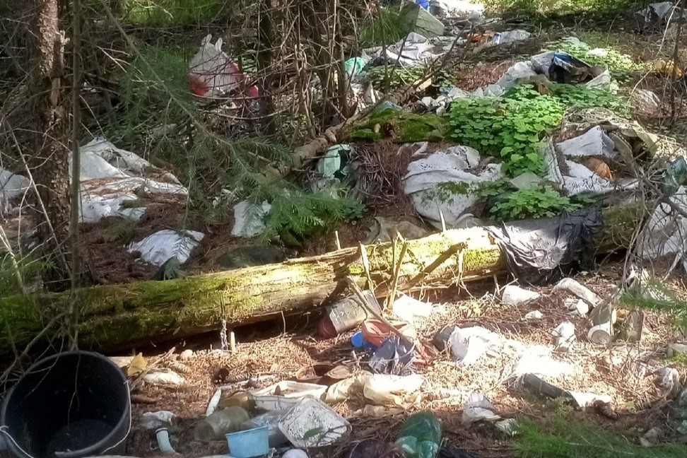 Активисты устраивают субботник, чтобы спасти пригород Нижнего Тагила от экологической катастрофы | В поселке Черноисточинск растет несанкционированная свалка