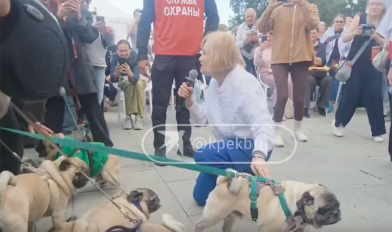Дарья Донцова пришла в Екатеринбург: писательница шутила, делилась секретами и хвалила мопсов | Дарья Донцова встретилась с читателями на фестивале «Красная строка» в Екатеринбурге