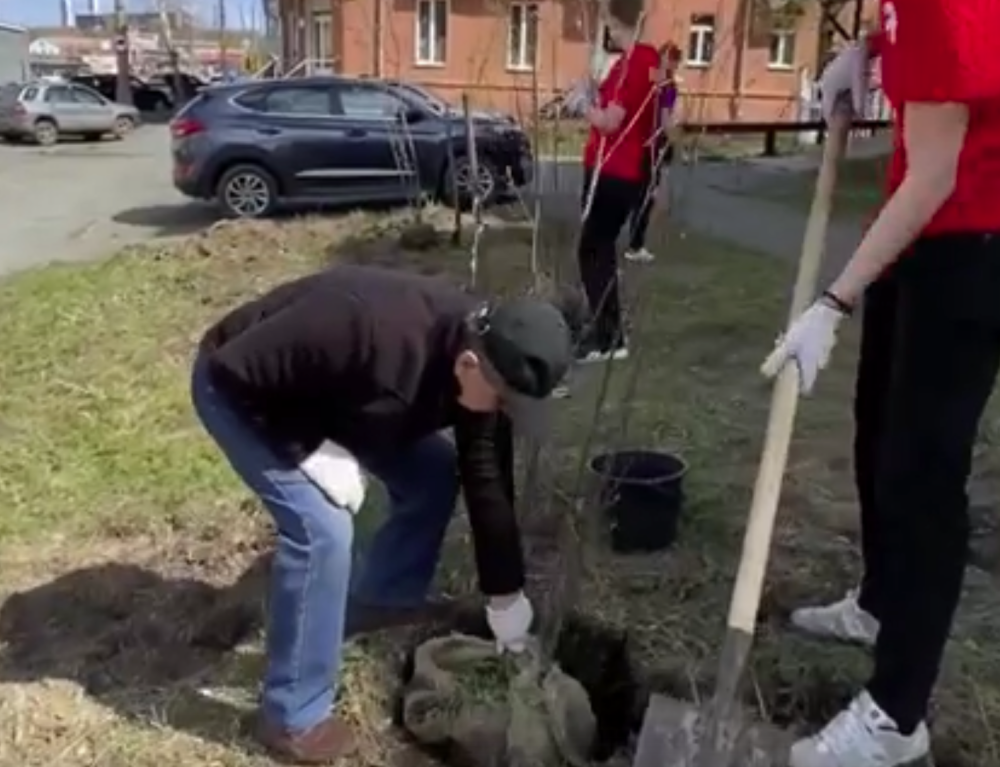 В Нижнем Тагиле заложена рябиновая аллея в честь 90-летия Свердловской области | В Нижнем Тагиле заложена рябиновая аллея в честь 90-летия Свердловской области